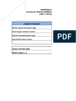 Tarea 2 - Formato de Costos Por Orden de Producción - Trabajo Grupal - 12