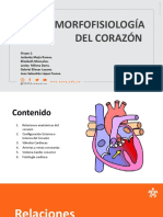 Morfo Fisiología Del Corazón - GRUPO 1