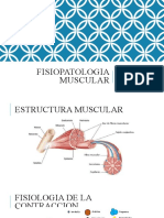 Fisiopatologia Muscular Udec Abordaje Didactico