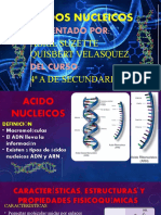 Ácidos Nucleicos