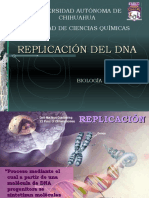 Replicación Del Dna