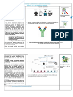 1°spe Fiche Bilan Immuno C2