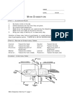 Mink Dissection Instructions