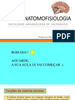 Encontro 4 - Organização Do Sistema Nervoso Central