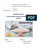 Salmonella Sp