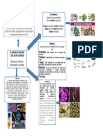 Infografia Los Seres Vivos