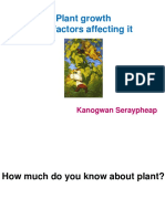 Plant Growth