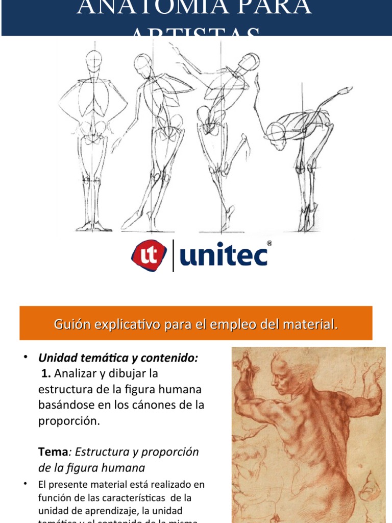 Anatomía Artística, PDF, Dibujo
