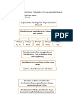 Skema Kerja Analisis Protein