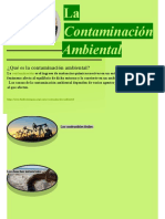 La Contaminación Ambiental