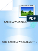 Cashflow Analsis: Deepa Pankaj Suman Tony