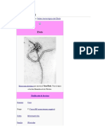 Ébola1