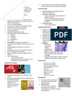 Opportunistic Mycoses