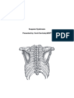 Scapular Dyskinesis Presented By: Scott Sevinsky MSPT