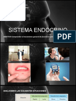 Ppt s12 Bio2do Sistema Endocrino (2)