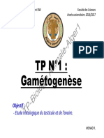 Tp1 Ba Gametogenese