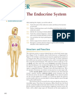 Endocrine System Lectu Ra