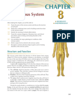 The Nervous System: Structure and Function