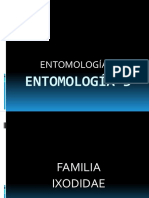 Entomología 3