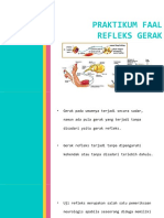 (Praktikum Faal) Gerak Refleks