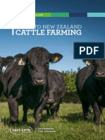 Guide New Zealand Cattle Farming