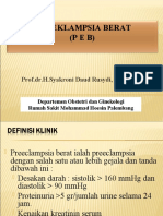 Pre Eklampsia Berat (Peb) : Prof - Dr.H.Syakroni Daud Rusydi, Spog (K)