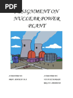 Assignment On Nuclear Power PlantA