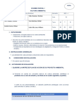 Examen Parcial I - Plan de Acción - Christian Vélez