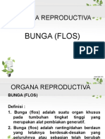 9 10. Organa Reproductiva Flos
