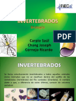 INVERTEBRADOS_2003 (1)