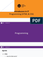 Programming 1 (HTML - CSS)