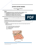 Panduan Praktikum Anatomi Sistem Indera Modul Ibd Fkui Revisi