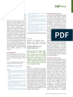 Vision in Plants Via Plant-Specific Ocelli?: Forum