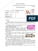 Tesuturile