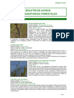 BOLETIN_FITOSANITARIO_FORESTAL_201801Paranthrene