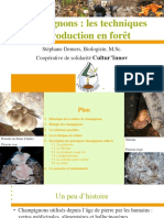 Champignons - Les Techniques de Production en Forêt