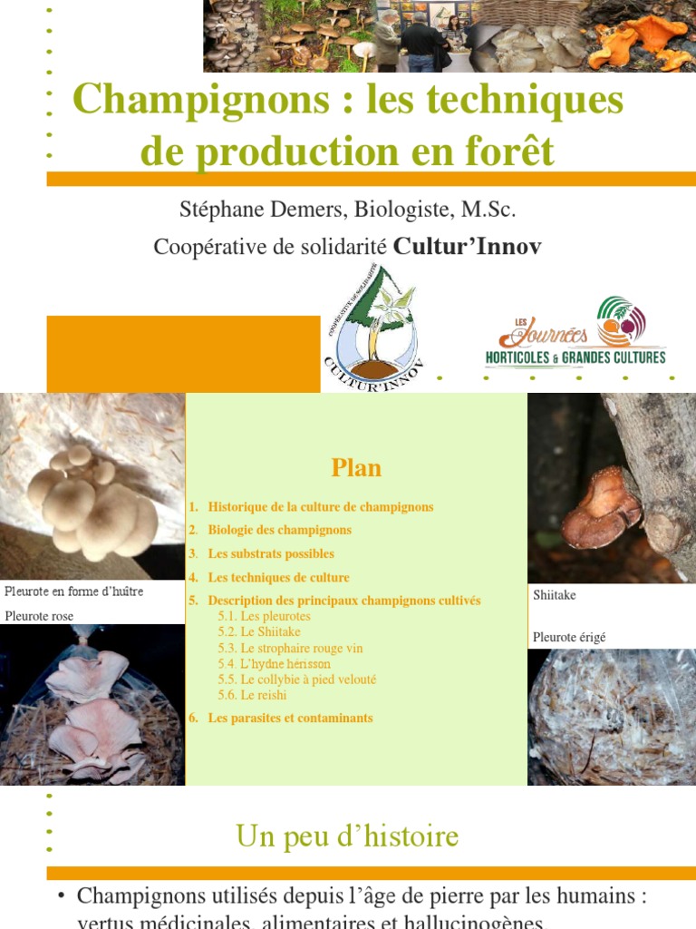 Champignons - Les Techniques de Production en Forêt, PDF, Champignons