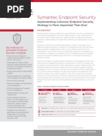 Symantec End Point Security Data Sheet