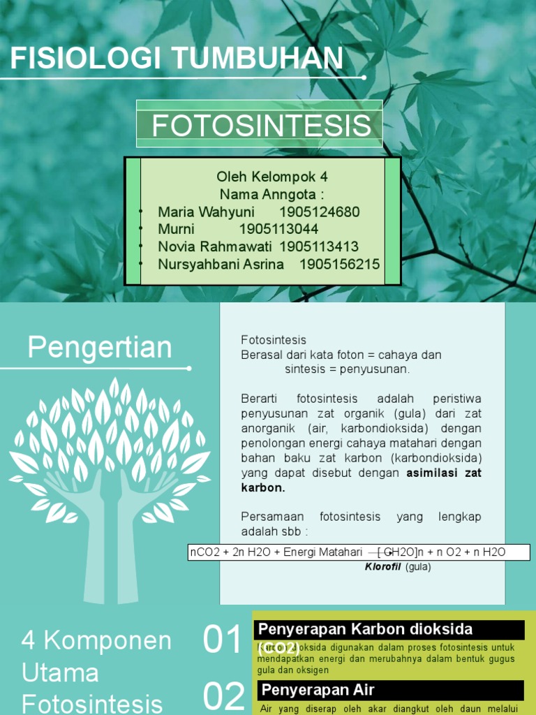 Fotosintesis Kelompok 4 Pdf