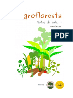 Agrofloresta Consórcios