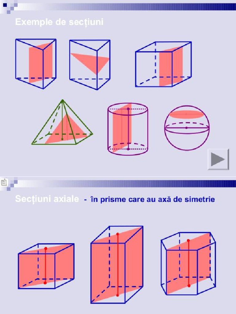Exemple de Sectiuni | PDF