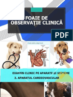 Clinic AP. Cardiovascular