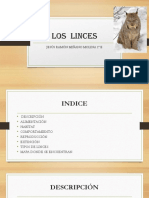 Los Linces