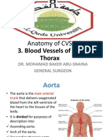 Anatomy of CVS: 3. Blood Vessels of The Thorax