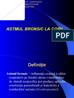 46254580-Astmul-bronsic