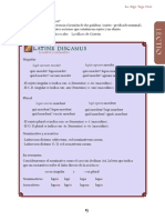 Acusativo de Primera y Segunda Decliación Latín