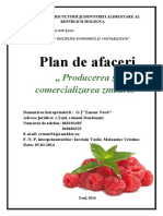 Plan de afaceri zmeura 