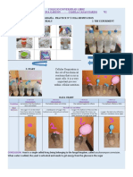 Infografía - Practice #Cell Respitation 1. Materials 2. The Experiment