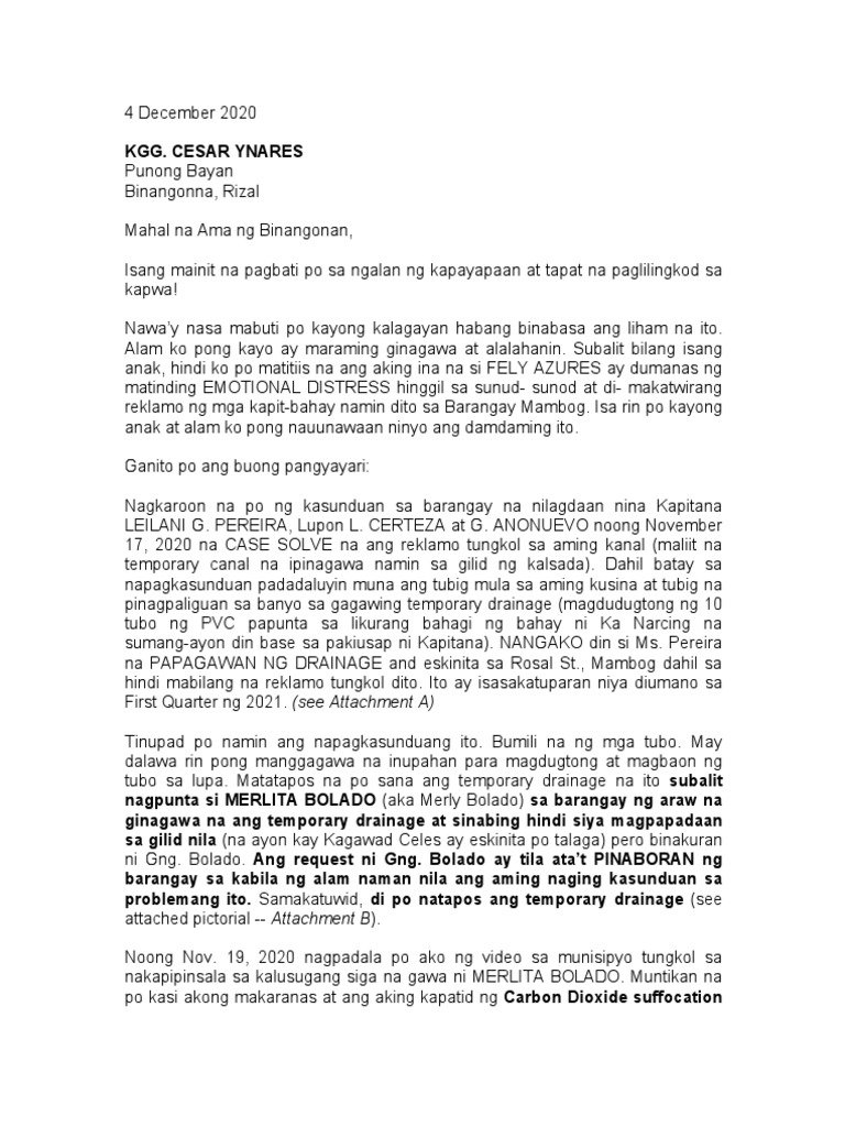 Letter To Mayor Cesar Ynares | PDF