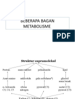 Baganmetabolisme